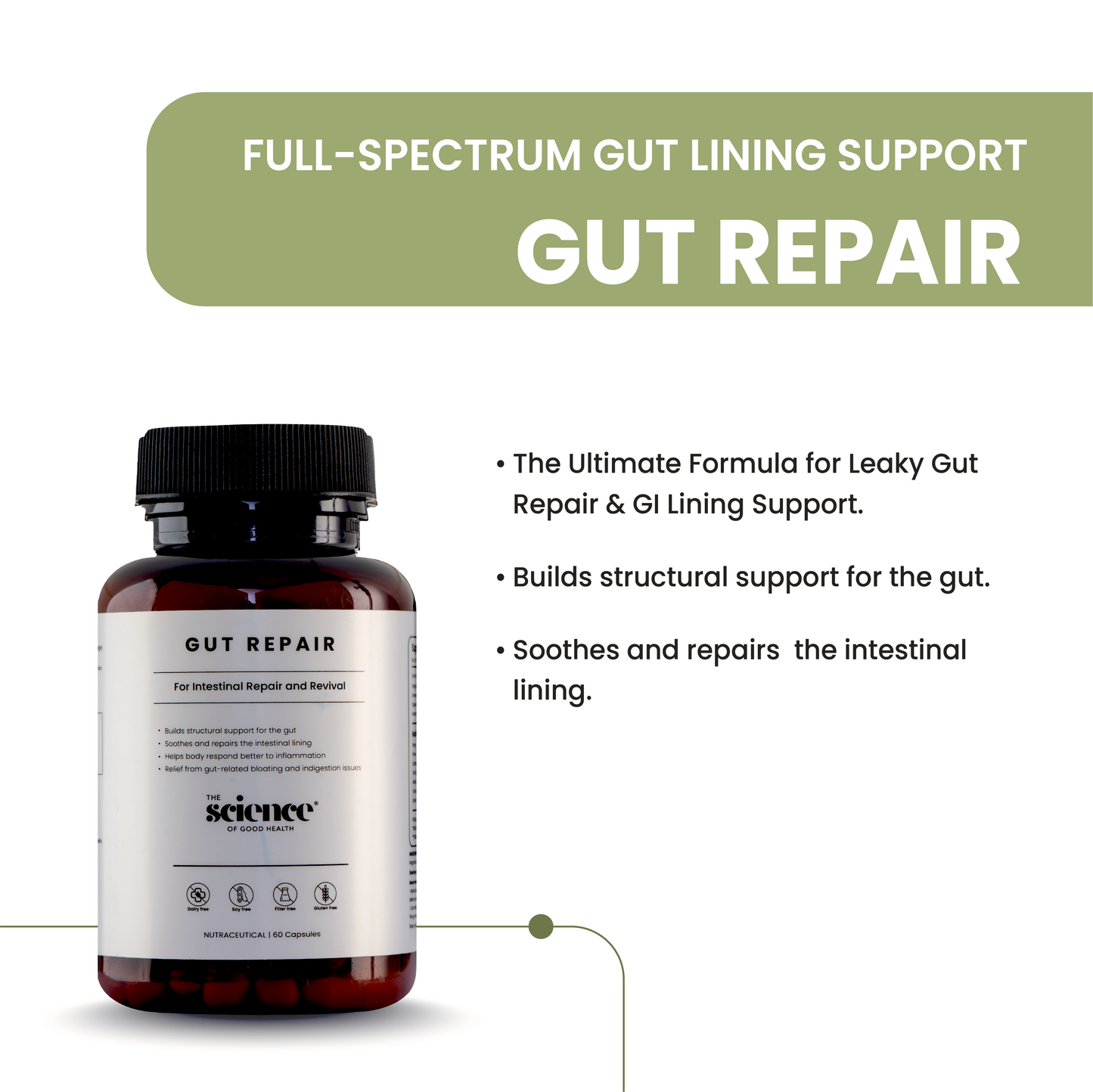 Gut Repair Formula – Intestinal Lining & Digestive Health Support