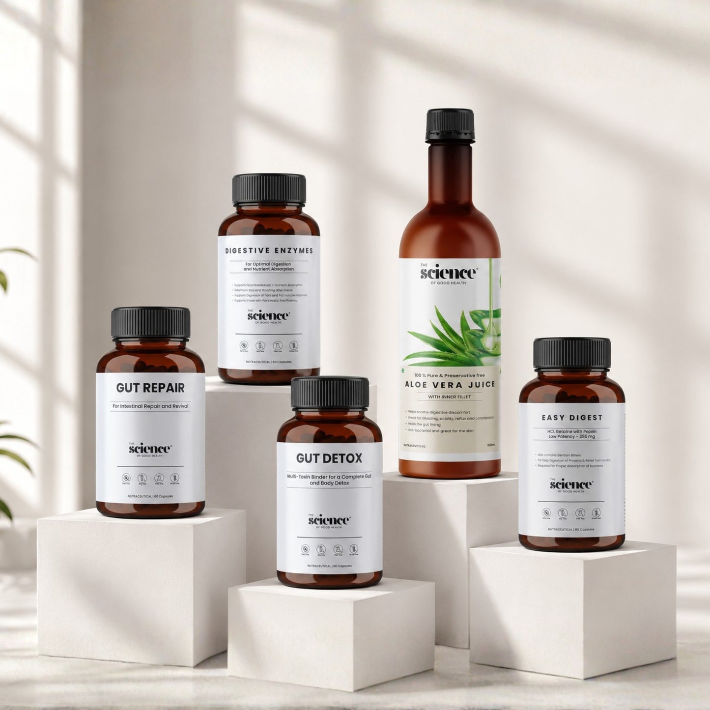 Complete Gut Wellness Stack