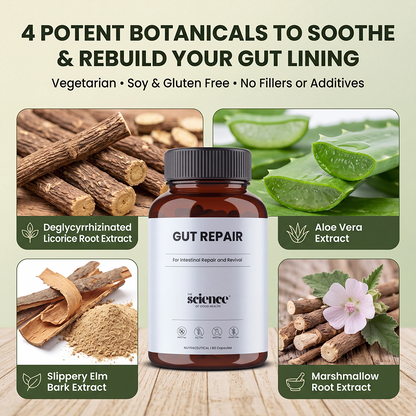 Gut Repair Formula – Intestinal Lining & Digestive Health Support